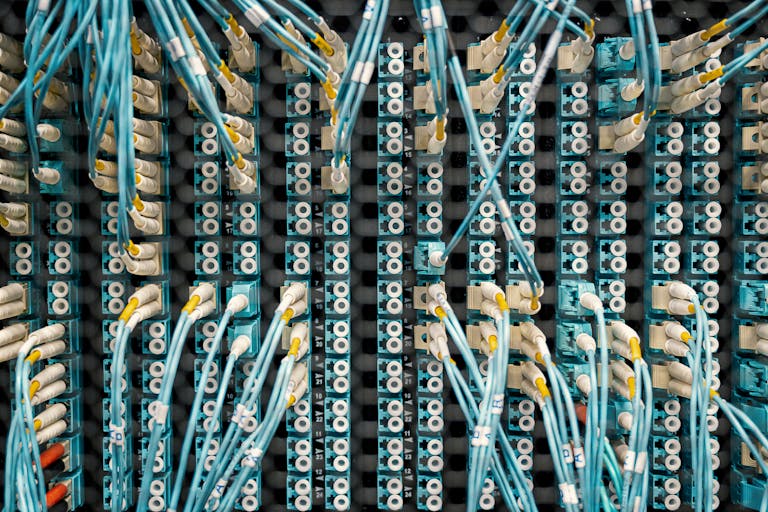 Close-up of a network patch panel with connected cables in a data center, showcasing organized cable management.
