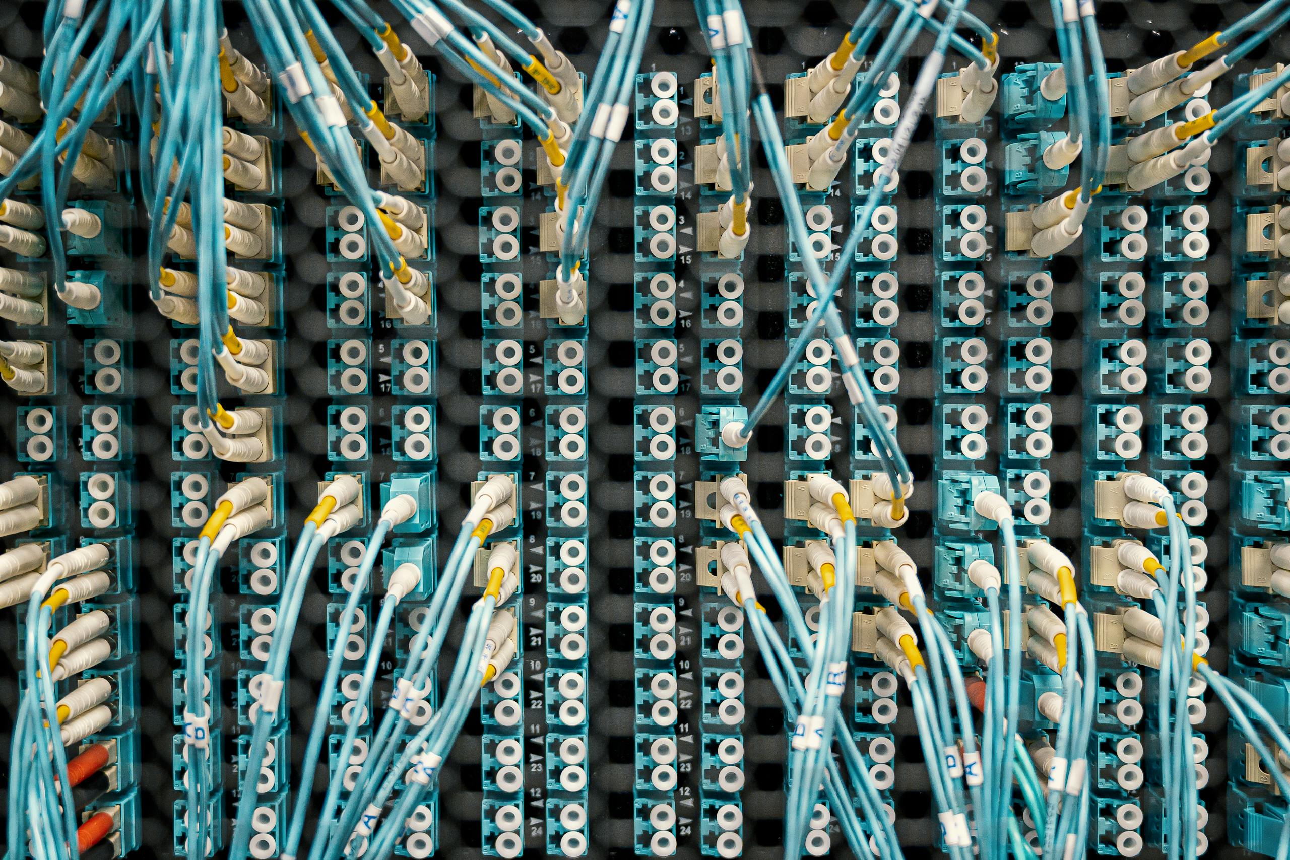 Close-up of a network patch panel with connected cables in a data center, showcasing organized cable management.